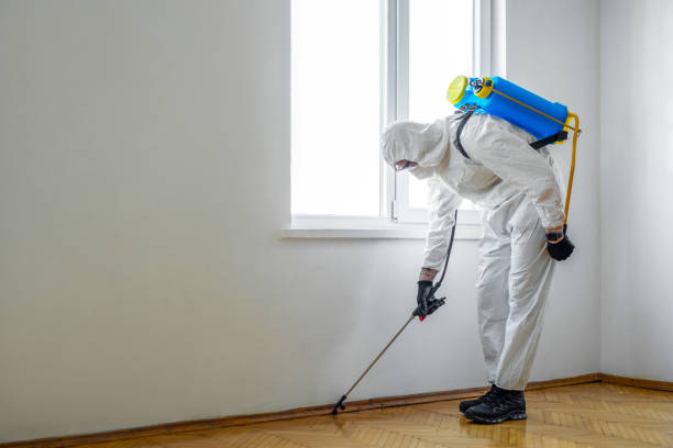 Best Cockroach Control Services  in Asbury, IA